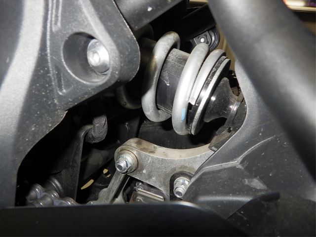 Задняя часть